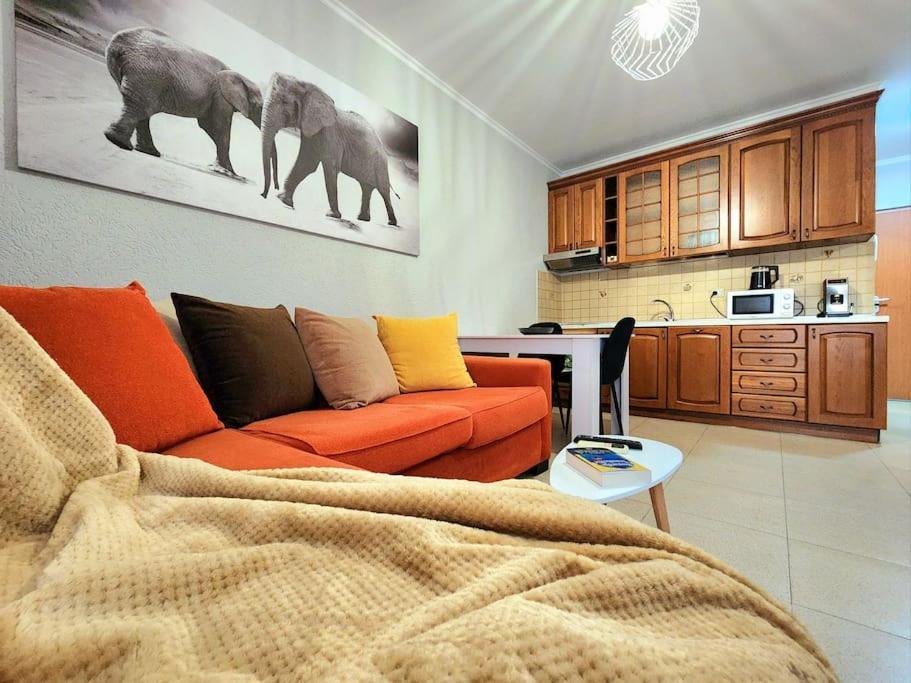 One Bd Flat Near Center With 24H Self Check In Apartamento Tirana Exterior foto
