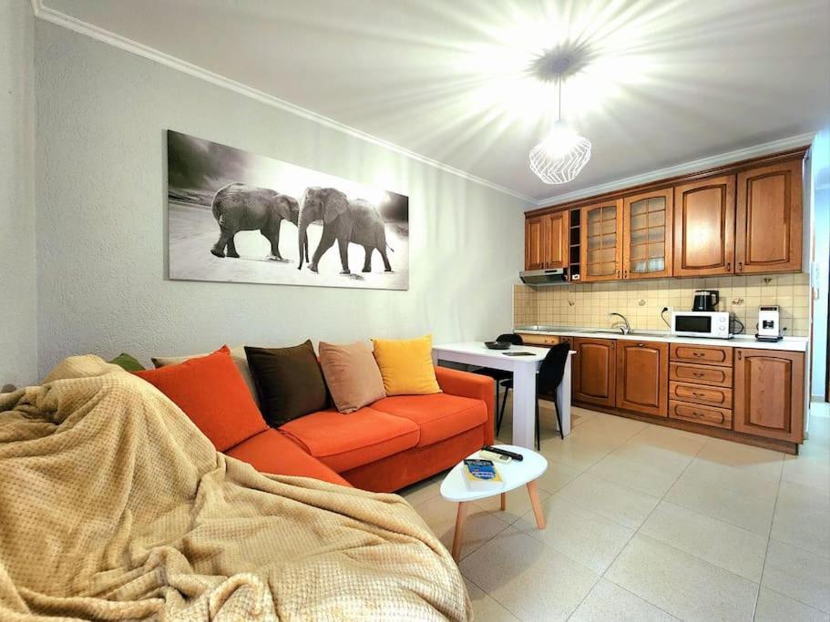One Bd Flat Near Center With 24H Self Check In Apartamento Tirana Exterior foto
